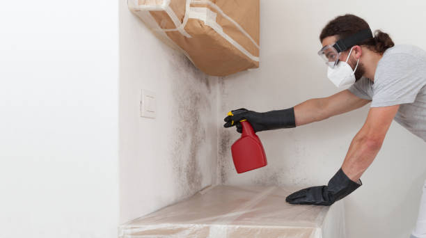 Professional Bathroom Mold Removal technician working in Evanston, IL