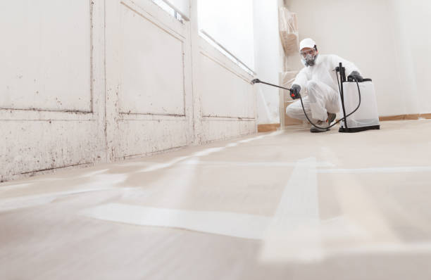 24/7 Emergency Bathroom Mold Removal experts in Evanston, IL